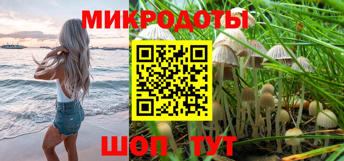Галлюциногенные грибы Psilocybine cubensis Еманжелинск